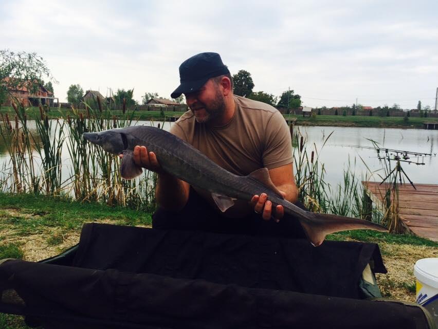 Casa Pestilor -  Sannicolau Mare - Septembrie 2015